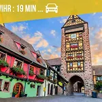 Duplex De Charme - - Route Des Vins