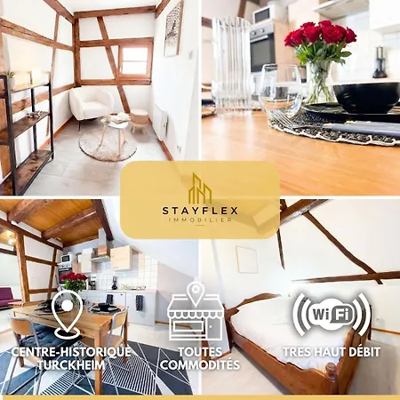 Duplex Du Vigneron - Center Apartment
