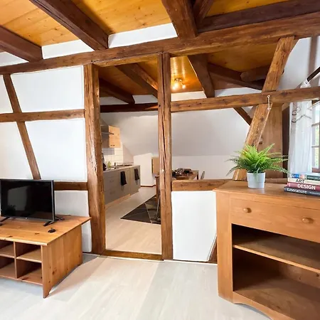 Duplex Du Vigneron - Center Apartment Turckheim