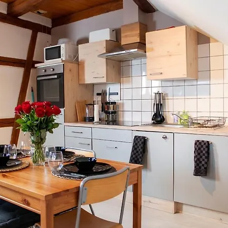 Duplex Du Vigneron - Center Apartment *