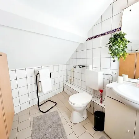 Duplex Du Vigneron - Center Apartment Turckheim