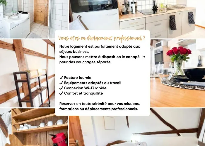 Duplex De Charme - - Route Des Vins *