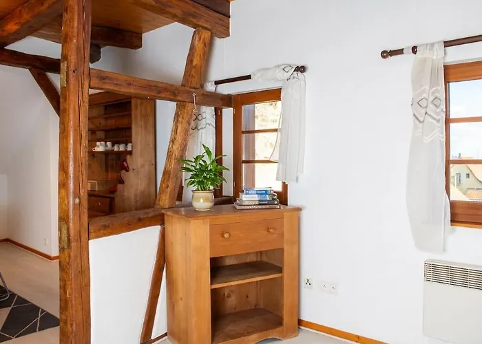 Apartment Duplex Du Vigneron - Center