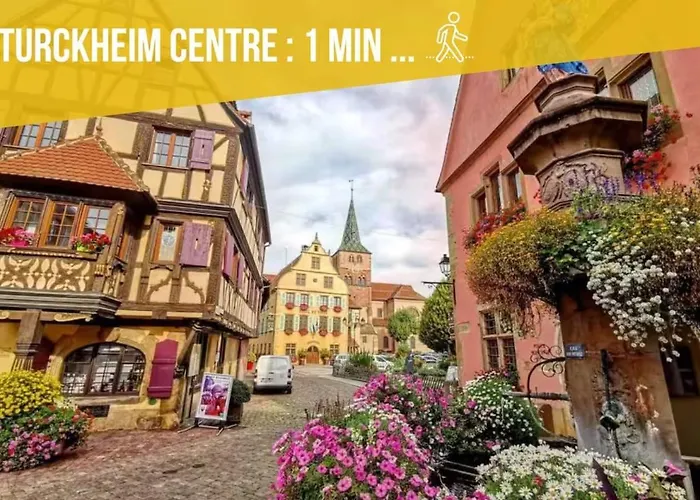 Duplex Du Vigneron - Center