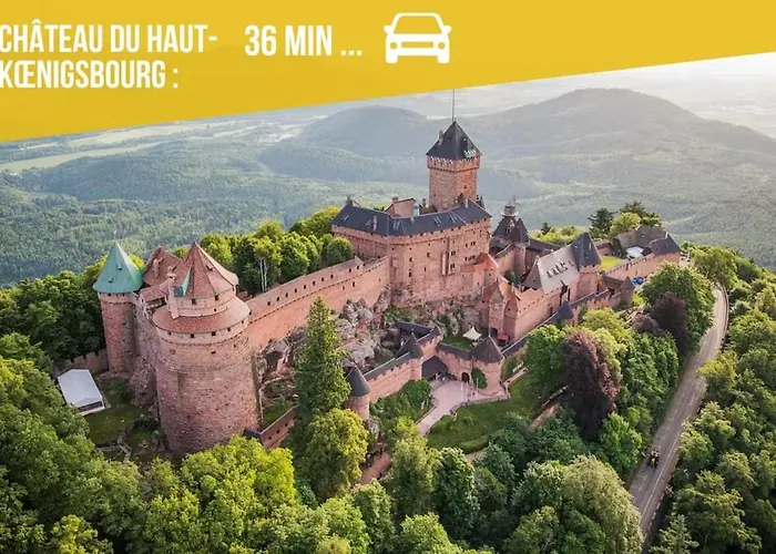 Duplex Du Vigneron - Center Apartment *